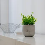 Apartman Garru24 - Centro *